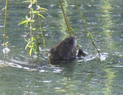 Прикрепленное изображение: 003.jpg